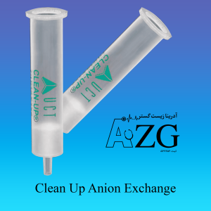 Clean Up Anion Exchange